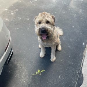 Meet your Posher, Raymond